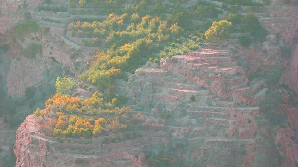 Green Mountain Hotel Apartments Al 'Aqar Zewnętrze zdjęcie